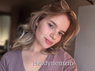 Heidynemzin
