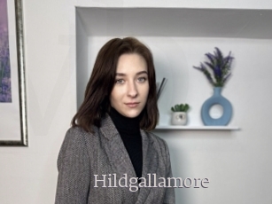 Hildgallamore