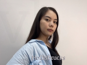 Hollisbrucks