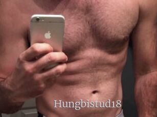 Hungbistud18