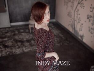 INDY_MAZE