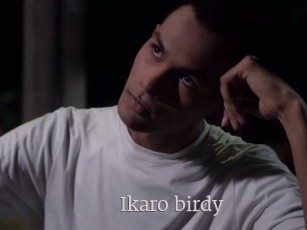 Ikaro_birdy
