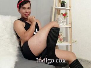 Indigo_cox