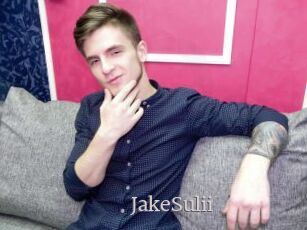 JakeSulii