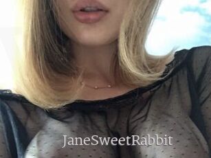 JaneSweetRabbit