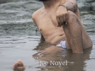 Joe_Novel