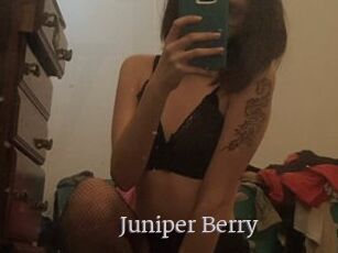 Juniper_Berry