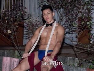 Jack_fox