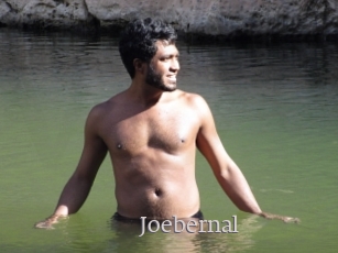 Joebernal