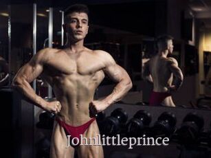 Johnlittleprince