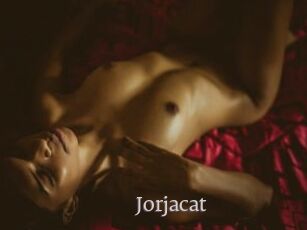 Jorjacat