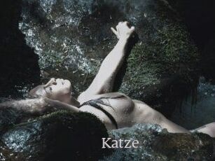 Katze
