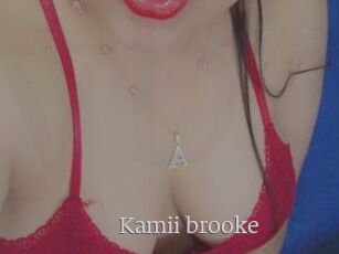 Kamii_brooke