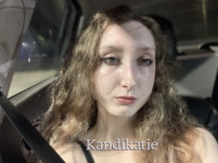 Kandikatie