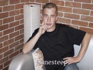 Kanesteep