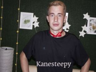 Kanesteepy
