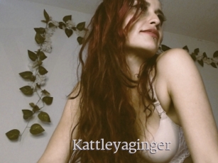 Kattleyaginger