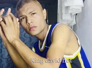 King_david_hot