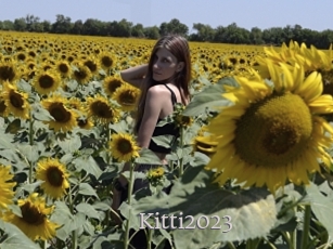 Kitti2023