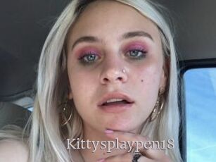 Kittysplaypen18