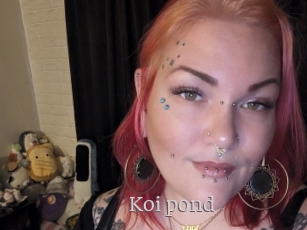 Koi_pond