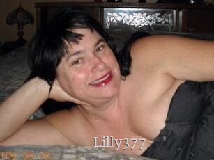 Lilly377