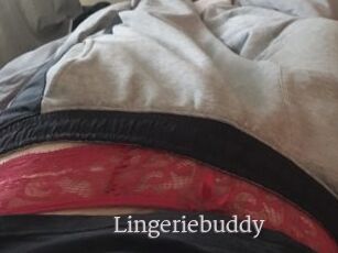 Lingeriebuddy