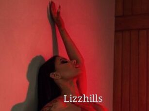 Lizzhills