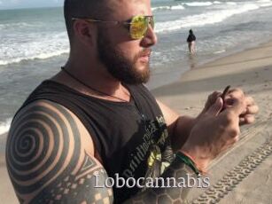 Lobocannabis