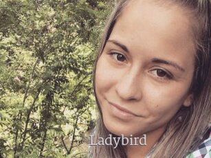 Ladybird