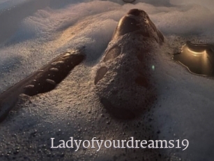 Ladyofyourdreams19