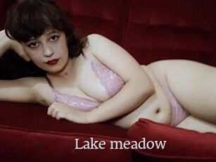 Lake_meadow