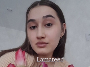 Lamareed