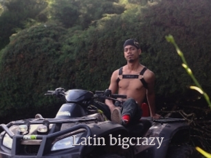 Latin_bigcrazy