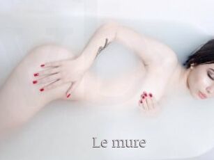 Le_mure