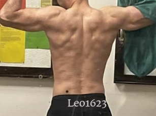 leo1623 Vidéo Beurettes