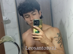 Leosantoro22