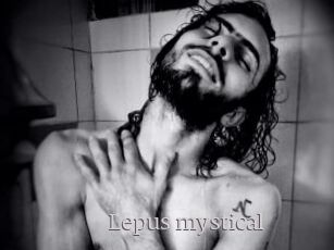 Lepus_mystical