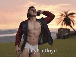 leytonfloyd Vidéo Beurettes