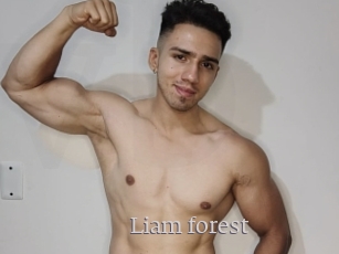 Liam_forest