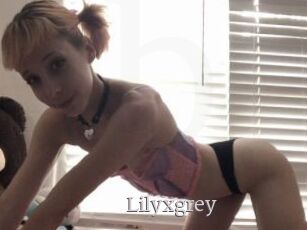 Lilyxgrey