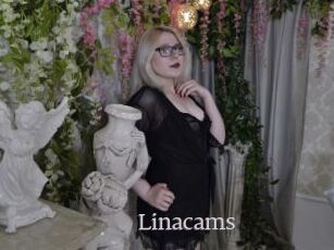 Linacams
