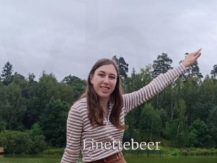 Linettebeer