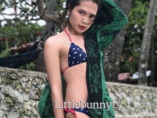 Littlebunnyts