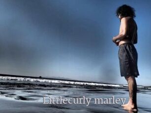 Littlecurly_marley
