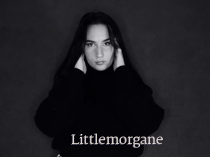 Littlemorgane
