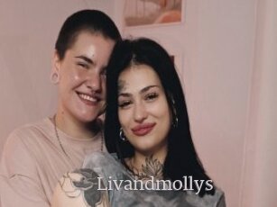 Livandmollys