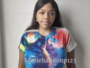Lizziehamtonp123