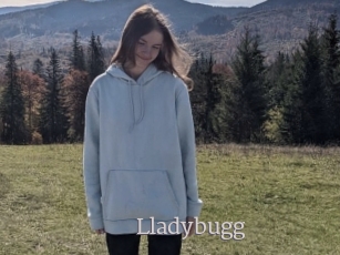 Lladybugg