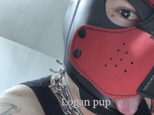 Logan_pup